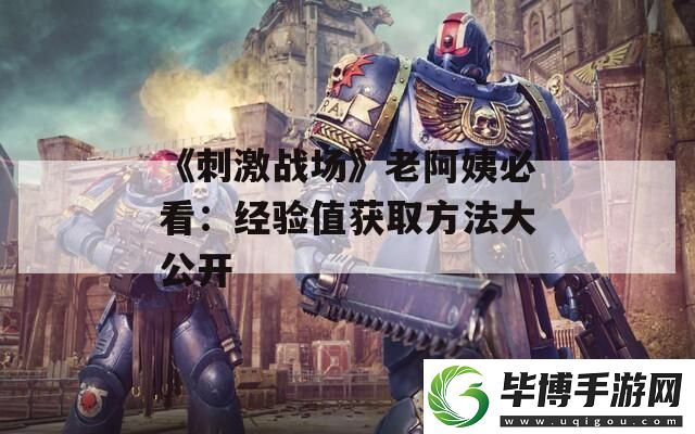 刺激战场老阿姨必看