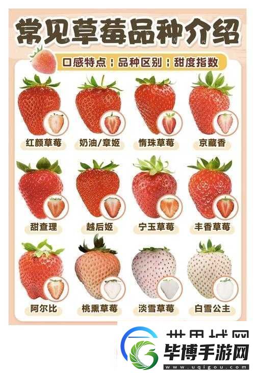 蜜丝婷大草莓和小草莓有什么区别哪款更适合你 