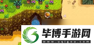 星露谷物语快速获取金核桃的方法 