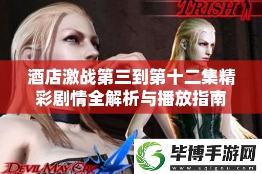 酒店激战第三到第十二集精彩剧情全解析与播放指南 