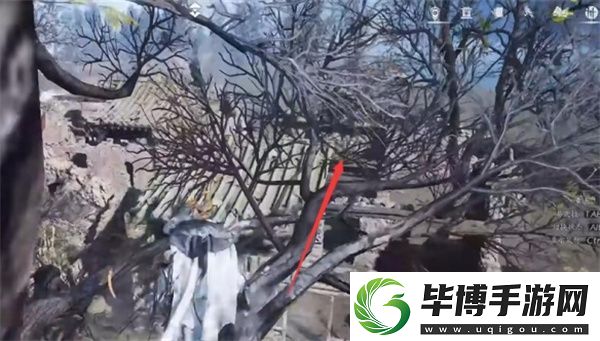 燕云十六声六疾哀鸣任务攻略分享