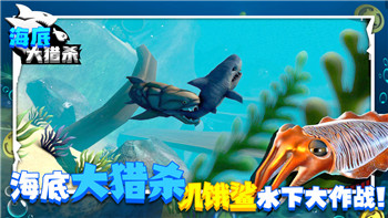 《诛仙世界》践行测试安装指南：轻松开启仙侠冒险之旅