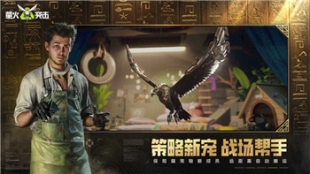 《三国志战棋版》何氏阵容及战法搭配攻略详解！