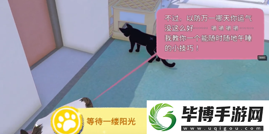 小猫咪大城市快速午睡怎么解锁