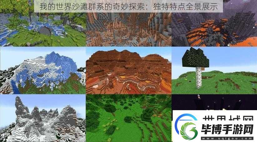 我的世界沙滩群系的奇妙探索：独特特点全景展示 
