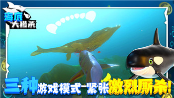 动态注视点渲染：引领《虚拟境界》VR体验的革命性飞跃